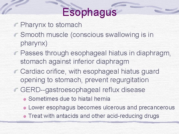 Esophagus Pharynx to stomach Smooth muscle (conscious swallowing is in pharynx) Passes through esophageal