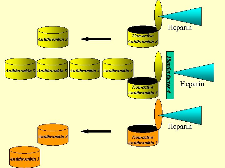 Heparin Non-active Antithrombin 3 3 Xa Antithrombin (Stuart-Prower) 3 XIa Antithrombin (PTA) 3 XIIa