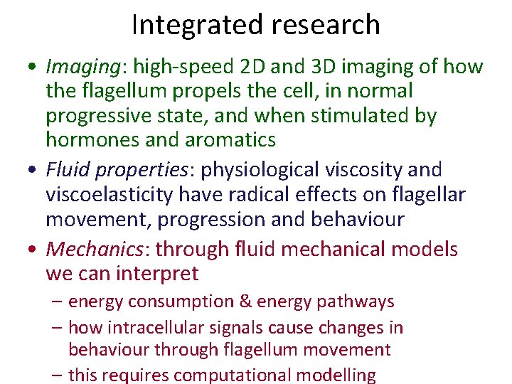 Integrated research • Imaging: high-speed 2 D and 3 D imaging of how the