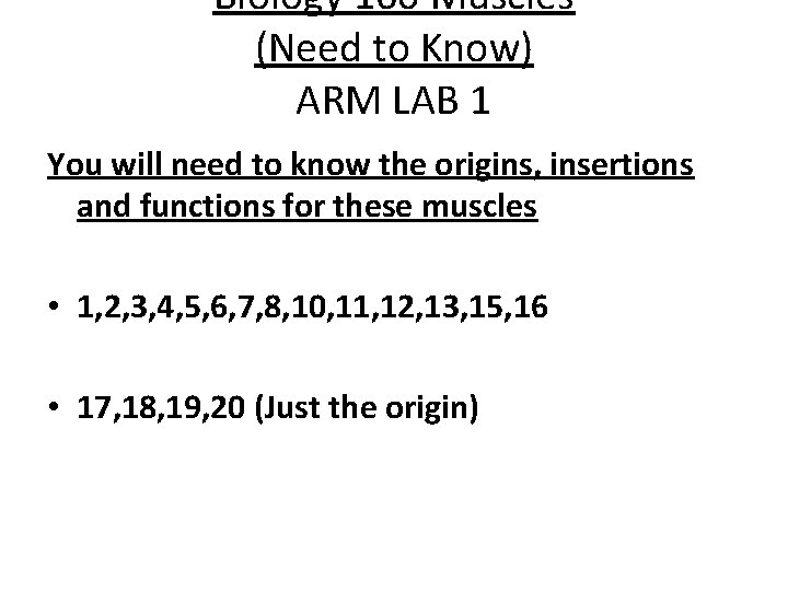 Biology 160 Muscles (Need to Know) ARM LAB 1 You will need to know