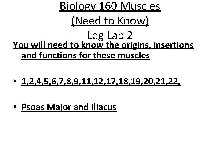 Biology 160 Muscles (Need to Know) Leg Lab 2 You will need to know