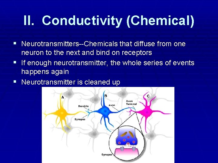 II. Conductivity (Chemical) § Neurotransmitters--Chemicals that diffuse from one neuron to the next and