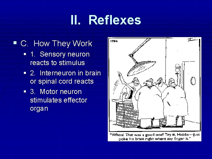 II. Reflexes § C. How They Work § 1. Sensory neuron reacts to stimulus II. Reflexes § C. How They Work § 1. Sensory neuron reacts to stimulus
