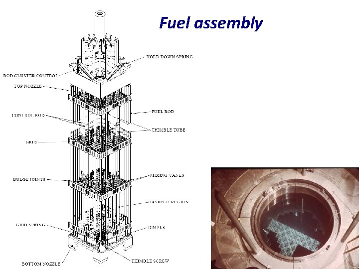 Fuel assembly 11 