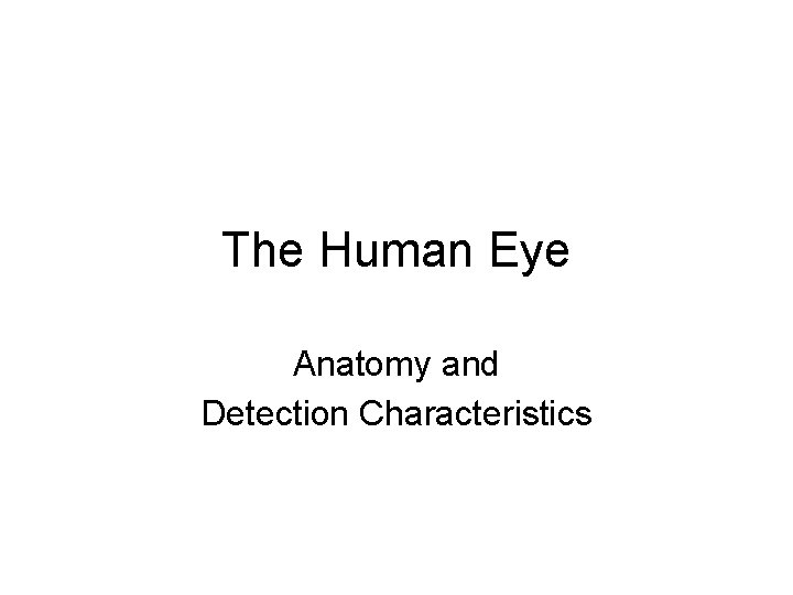 The Human Eye Anatomy and Detection Characteristics 