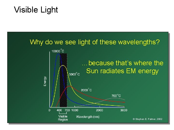 Visible Light Why do we see light of these wavelengths? …because that’s where the