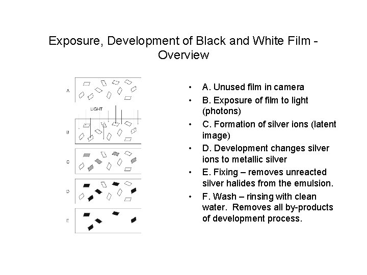 Exposure, Development of Black and White Film Overview • • • A. Unused film