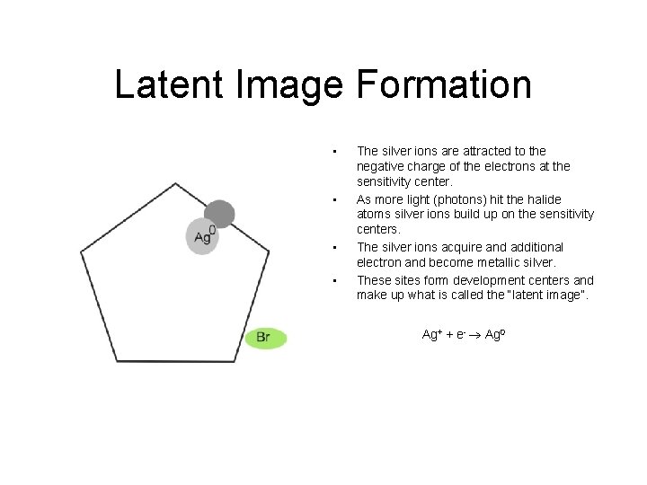 Latent Image Formation • • The silver ions are attracted to the negative charge