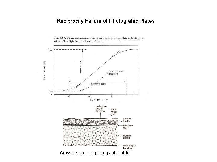 Reciprocity Failure of Photograhic Plates Cross section of a photographic plate 