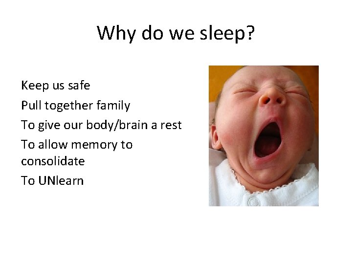 Why do we sleep? Keep us safe Pull together family To give our body/brain