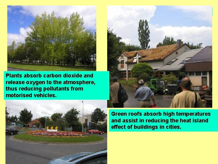 Climate Moderation Plants absorb carbon dioxide and release oxygen to the atmosphere, thus reducing