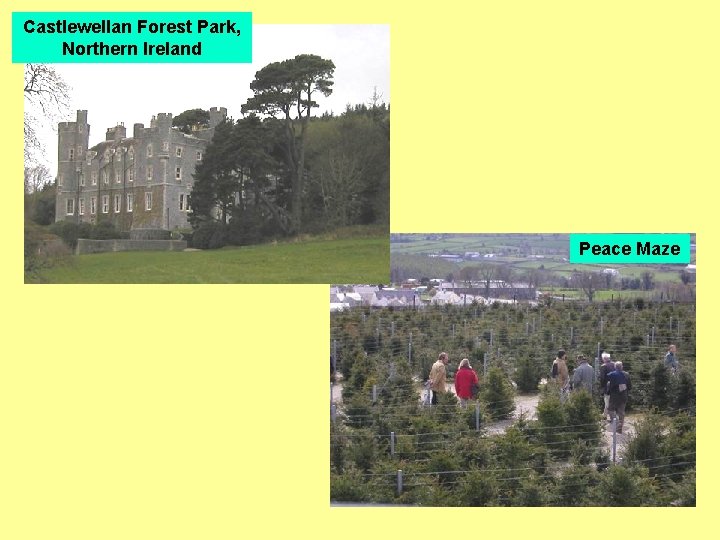 Castlewellan Forest Park, Northern Ireland Peace Maze 