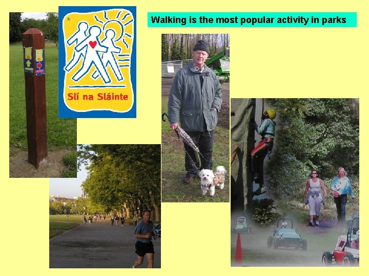 Walking is the most popular activity in parks 
