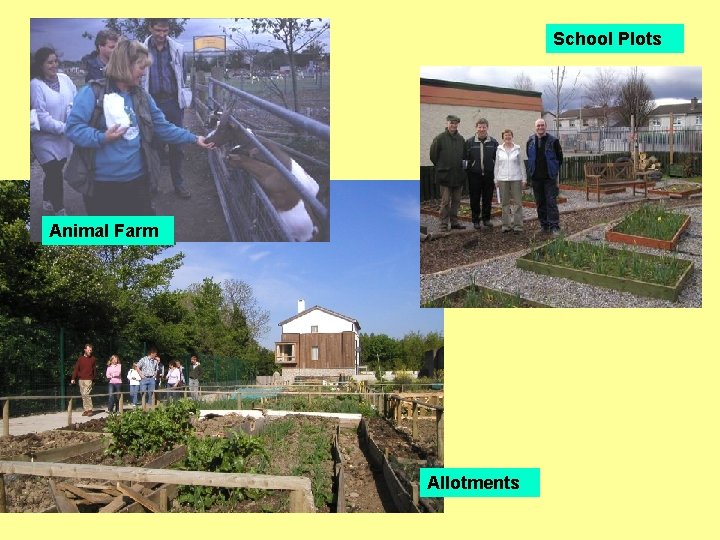 School Plots Animal Farm Allotments 
