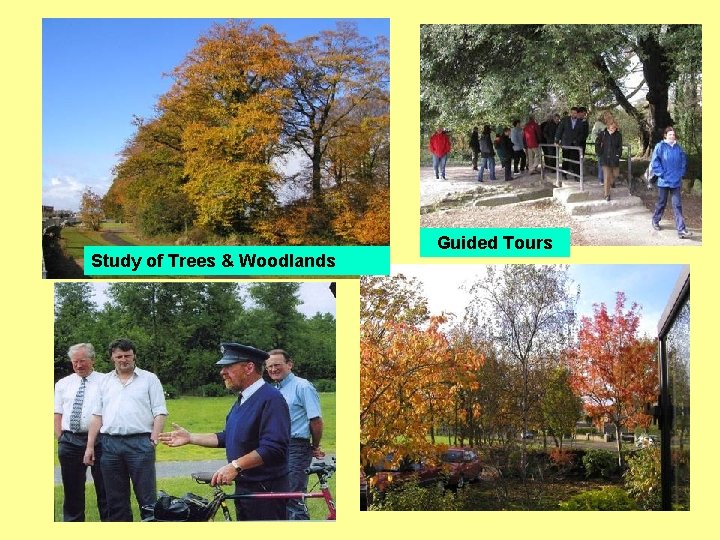 Study of Trees & Woodlands Guided Tours 
