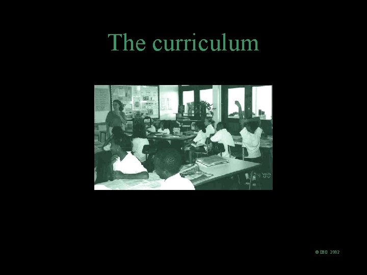 The curriculum © IBO 2002 