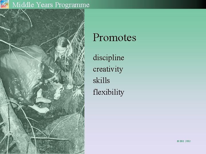 Middle Years Programme Promotes discipline creativity skills flexibility © IBO 2002 
