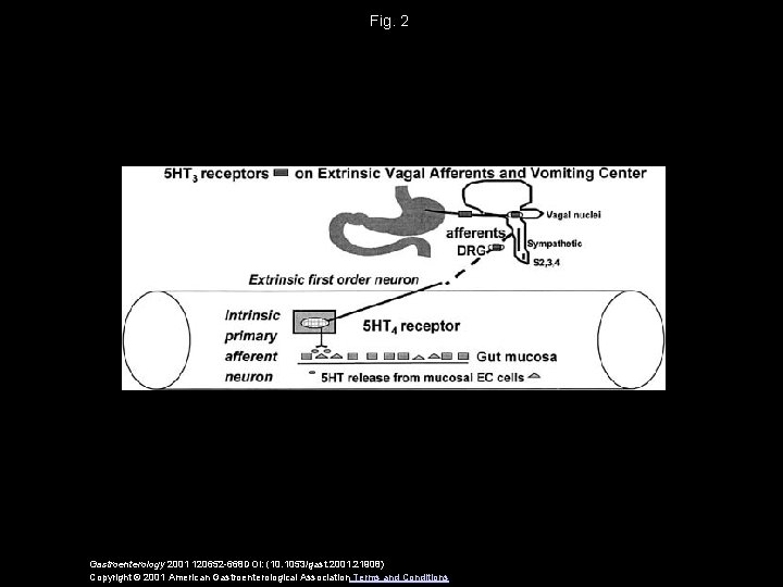 Fig. 2 Gastroenterology 2001 120652 -668 DOI: (10. 1053/gast. 2001. 21908) Copyright © 2001