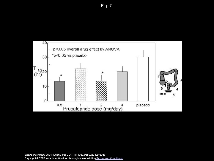 Fig. 7 Gastroenterology 2001 120652 -668 DOI: (10. 1053/gast. 2001. 21908) Copyright © 2001