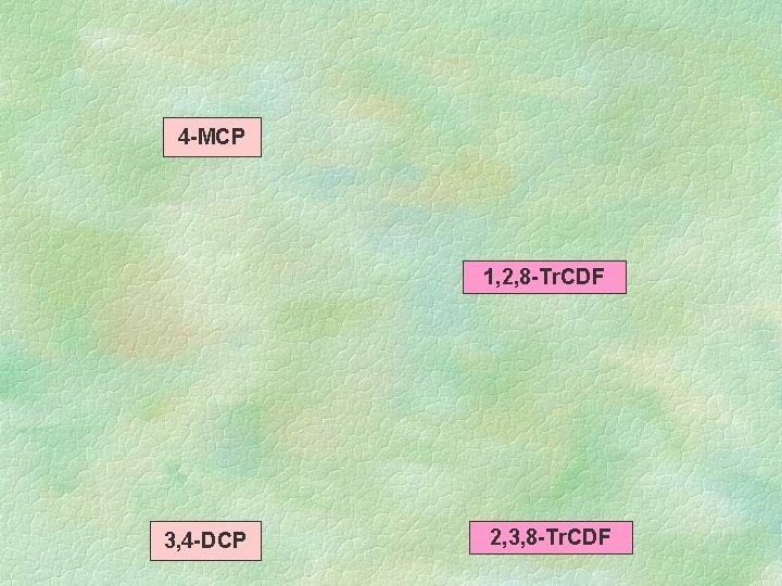 4 -MCP 1, 2, 8 -Tr. CDF 3, 4 -DCP 2, 3, 8 -Tr.