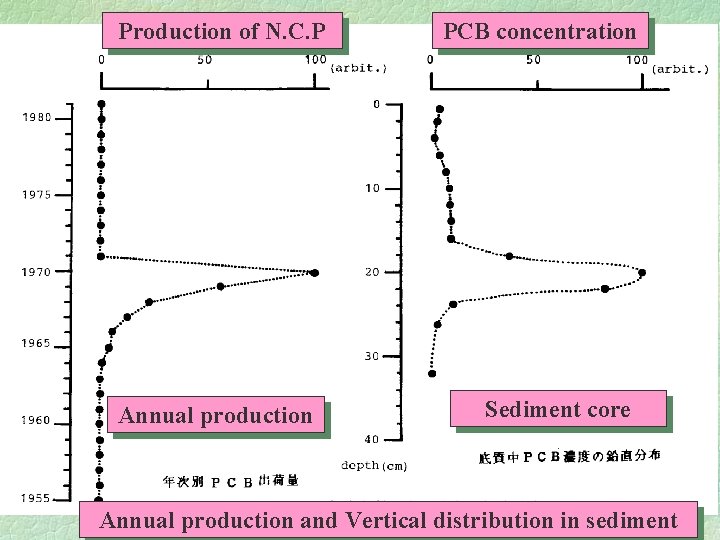 Production of N. C. P Annual production PCB concentration Sediment core Annual production and