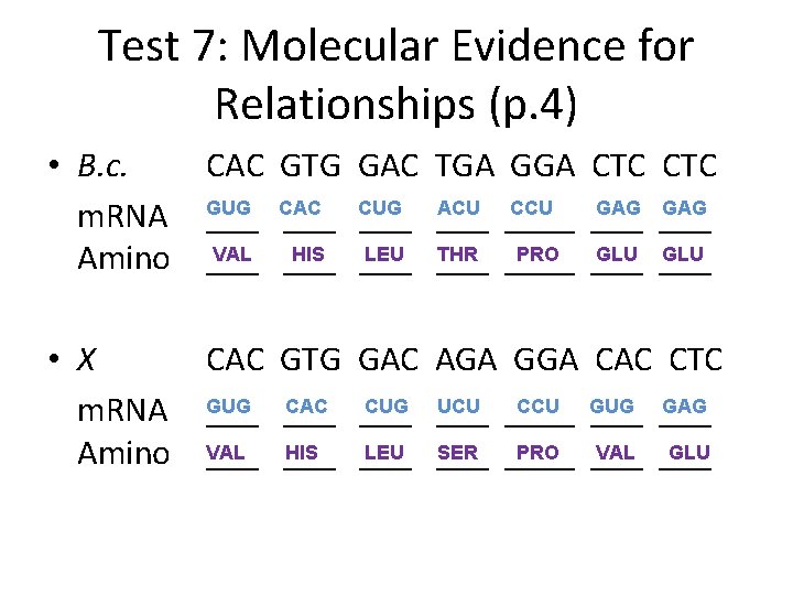 Test 7: Molecular Evidence for Relationships (p. 4) • B. c. CAC GTG GAC Test 7: Molecular Evidence for Relationships (p. 4) • B. c. CAC GTG GAC