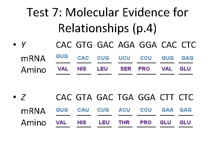 Test 7: Molecular Evidence for Relationships (p. 4) • Y CAC GTG GAC AGA Test 7: Molecular Evidence for Relationships (p. 4) • Y CAC GTG GAC AGA