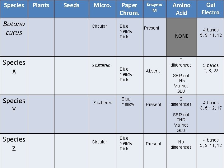 Species Botana curus Species X Species Y Species Z Plants Seeds Micro. Circular Scattered Species Botana curus Species X Species Y Species Z Plants Seeds Micro. Circular Scattered
