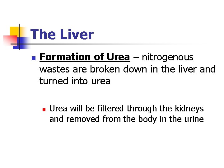 The Liver n Formation of Urea – nitrogenous wastes are broken down in the