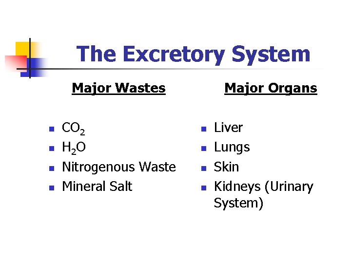 The Excretory System Major Wastes n n CO 2 H 2 O Nitrogenous Waste