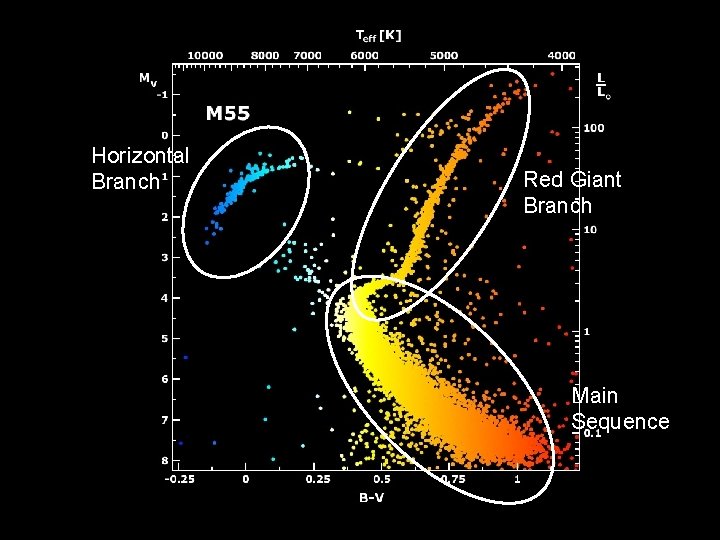 Horizontal Branch Red Giant Branch Main Sequence 