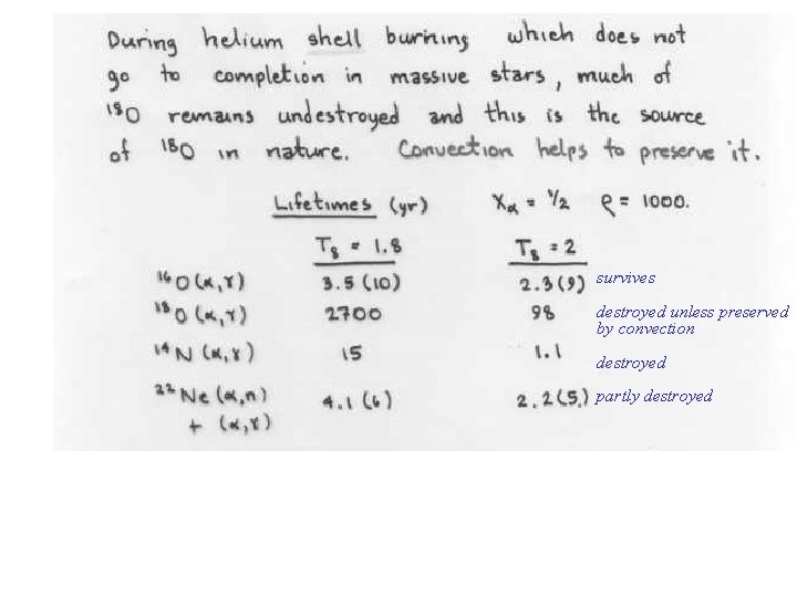 survives destroyed unless preserved by convection destroyed partly destroyed 