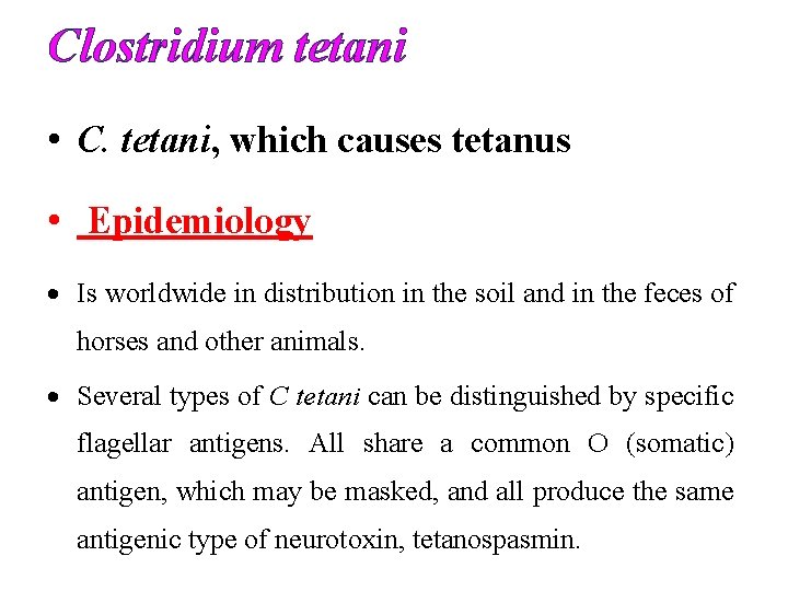 Clostridium tetani • C. tetani, which causes tetanus • Epidemiology Is worldwide in distribution