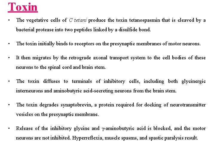 Toxin • The vegetative cells of C tetani produce the toxin tetanospasmin that is