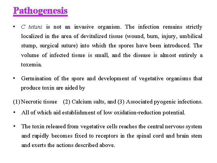 Pathogenesis • C tetani is not an invasive organism. The infection remains strictly localized