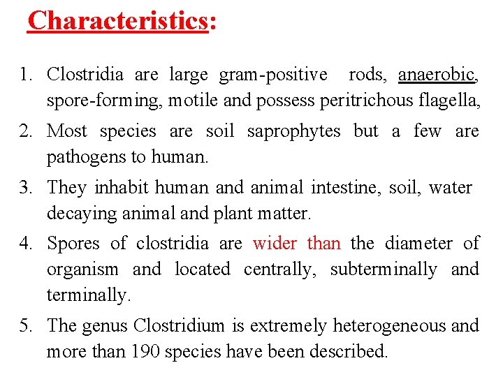 Characteristics: 1. Clostridia are large gram-positive rods, anaerobic, spore-forming, motile and possess peritrichous flagella,