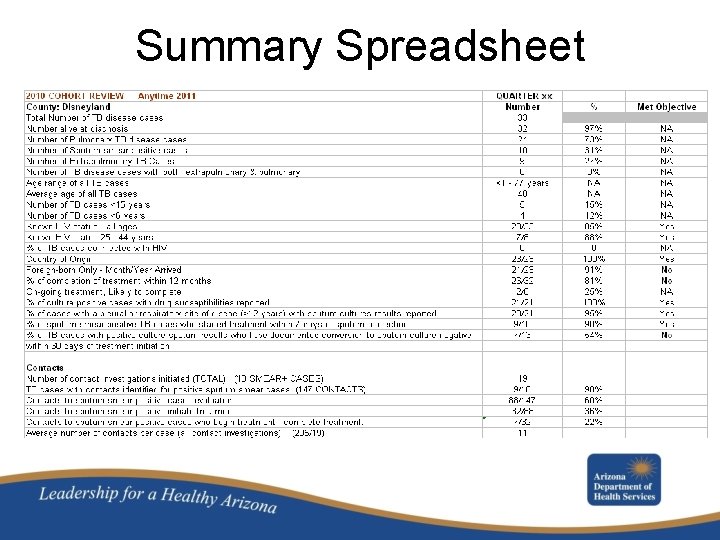 Summary Spreadsheet 