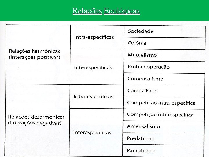 Relações Ecológicas 