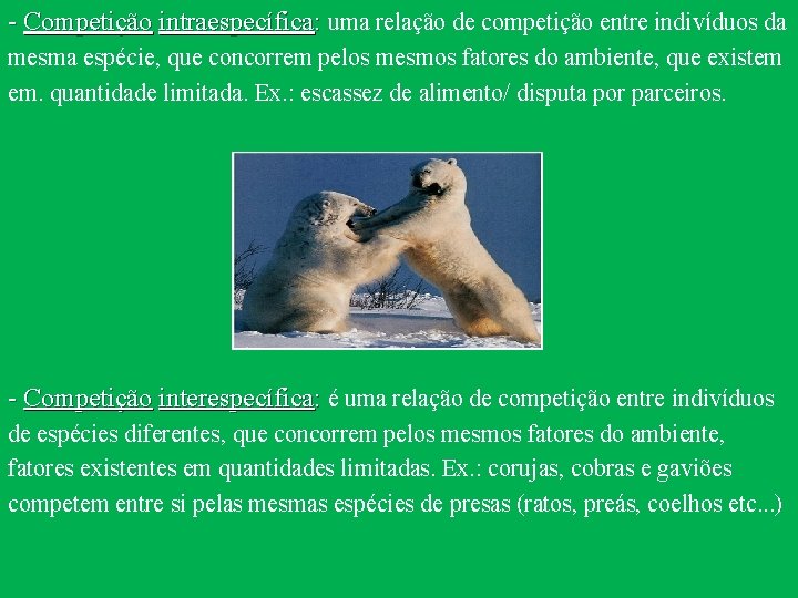 - Competição intraespecífica: uma relação de competição entre indivíduos da mesma espécie, que concorrem