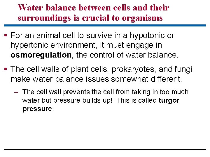 Water balance between cells and their surroundings is crucial to organisms § For an