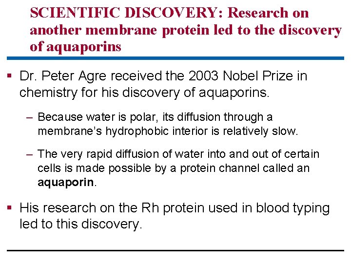 SCIENTIFIC DISCOVERY: Research on another membrane protein led to the discovery of aquaporins §