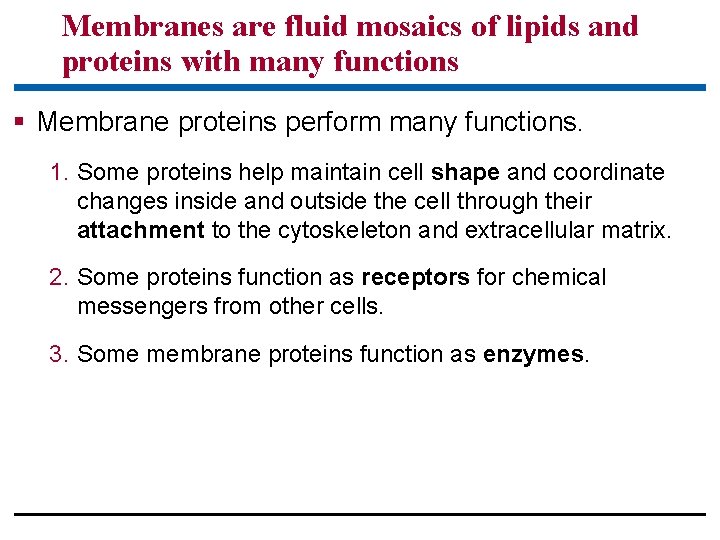 Membranes are fluid mosaics of lipids and proteins with many functions § Membrane proteins