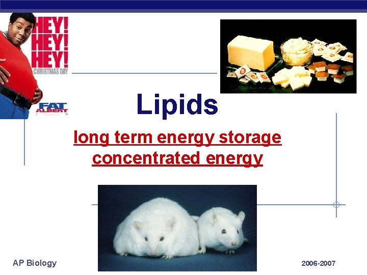 Lipids long term energy storage concentrated energy AP Biology 2006 -2007 