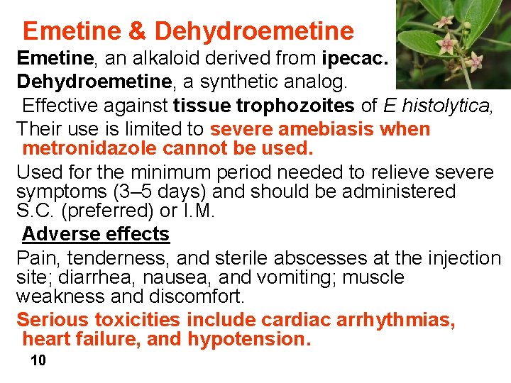 Emetine & Dehydroemetine Emetine, an alkaloid derived from ipecac. Dehydroemetine, a synthetic analog. Effective