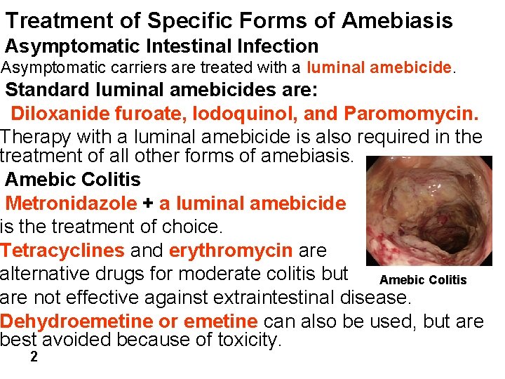 Treatment of Specific Forms of Amebiasis Asymptomatic Intestinal Infection Asymptomatic carriers are treated with