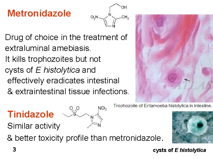 Metronidazole Drug of choice in the treatment of extraluminal amebiasis. It kills trophozoites but