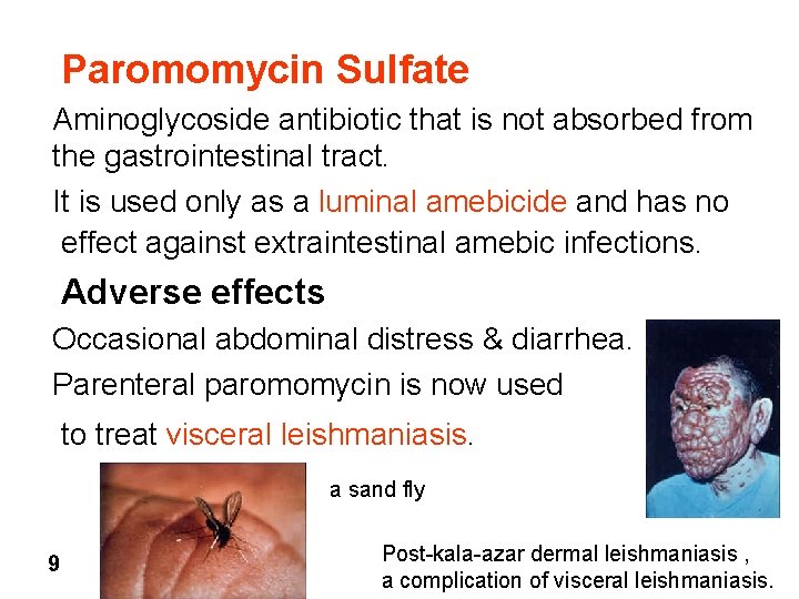 Paromomycin Sulfate Aminoglycoside antibiotic that is not absorbed from the gastrointestinal tract. It is