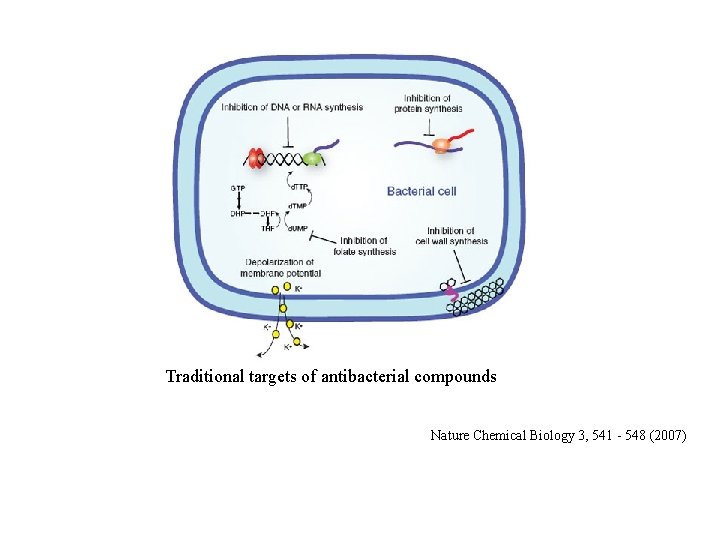 Traditional targets of antibacterial compounds Nature Chemical Biology 3, 541 - 548 (2007) 