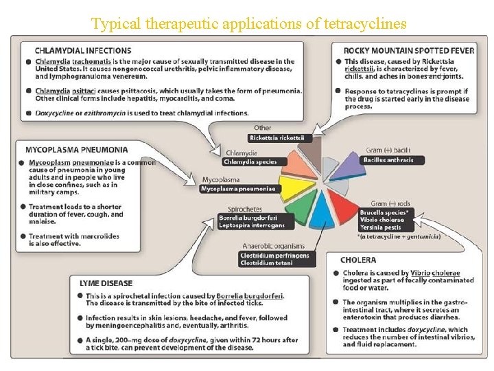 Typical therapeutic applications of tetracyclines 