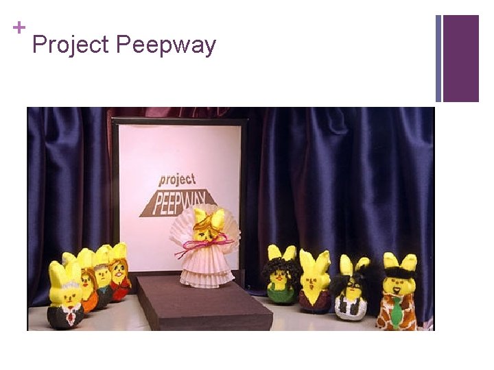+ Project Peepway 